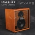 Flying Music Thụy Sĩ Schutler David Classic Loa Guitar Acoustic 100 watt - Loa loa loa kéo paramax Loa loa