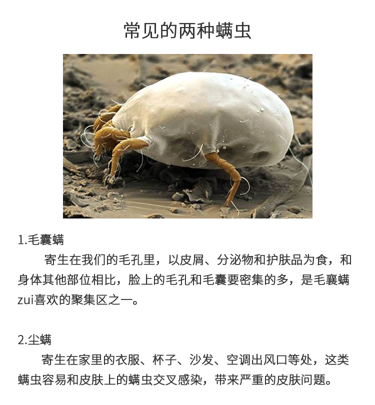24 giờ để loại bỏ 螨 Nhật Bản Maru Rong 螨 祛 祛 螨 螨 床上 床上 床上 沙发 - Thuốc diệt côn trùng bình xịt diệt khuẩn