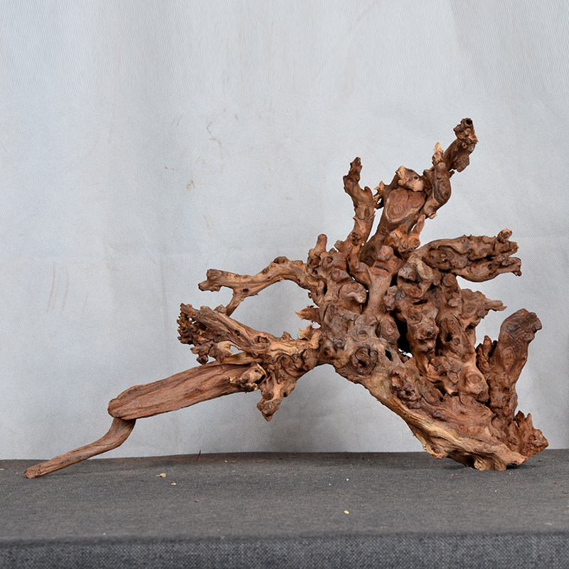 Aquatic view rainforest cylinders Coral Wood Water Sinkwood Natural Withered Wood Fish Tank Decorated with Turtle Sun Terrace Purple Grapefruit Cuckoo-Taobao