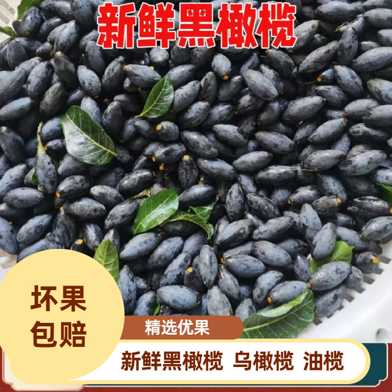 广东增城黑橄榄果5斤新鲜现摘,生吃乌榄油榄果到底值不值?-橄榄-淘宝百科网