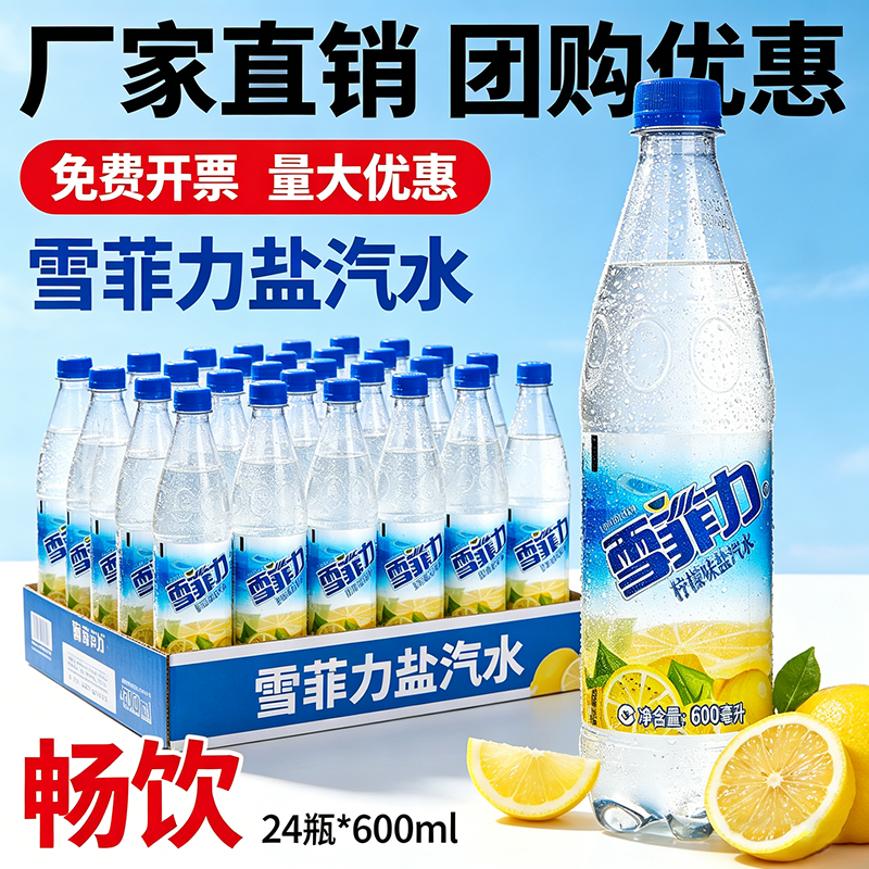 雪飛利塩ソーダ 600ml×24本入りケース、レモン風味ソーダ、炭酸水、爽やかな飲み物。