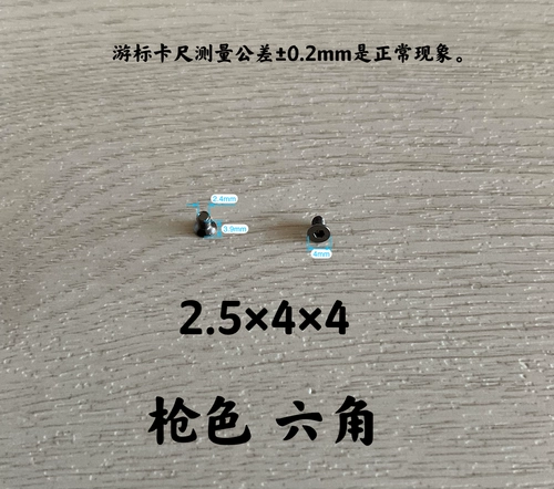 Double C Luxury Care Chanel маленькая шлепа