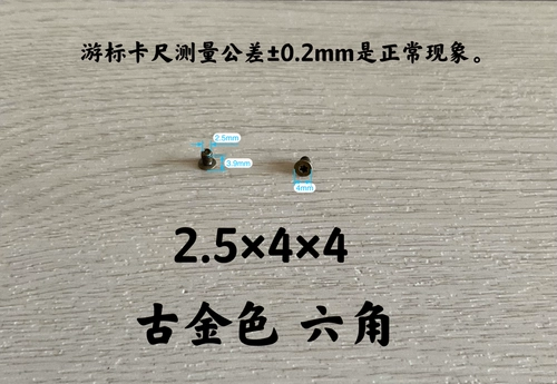 Double C Luxury Care Chanel маленькая шлепа