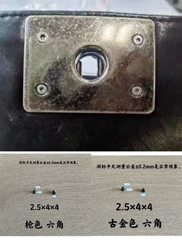 Double C Luxury Care Chanel маленькая шлепа