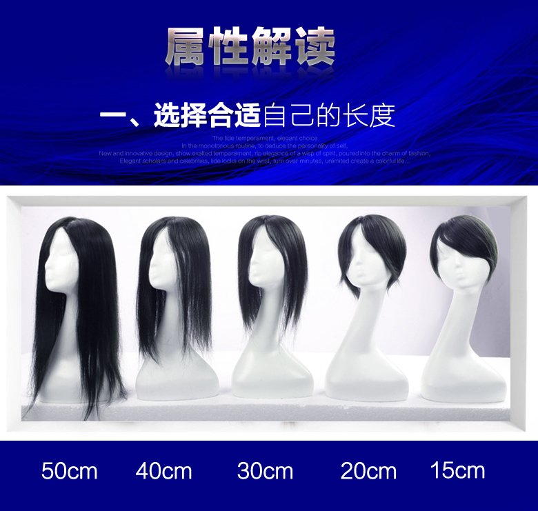 Extension mèches - Ref 224005 Image 11