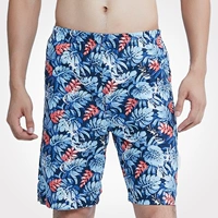 Доля листьев черепахи