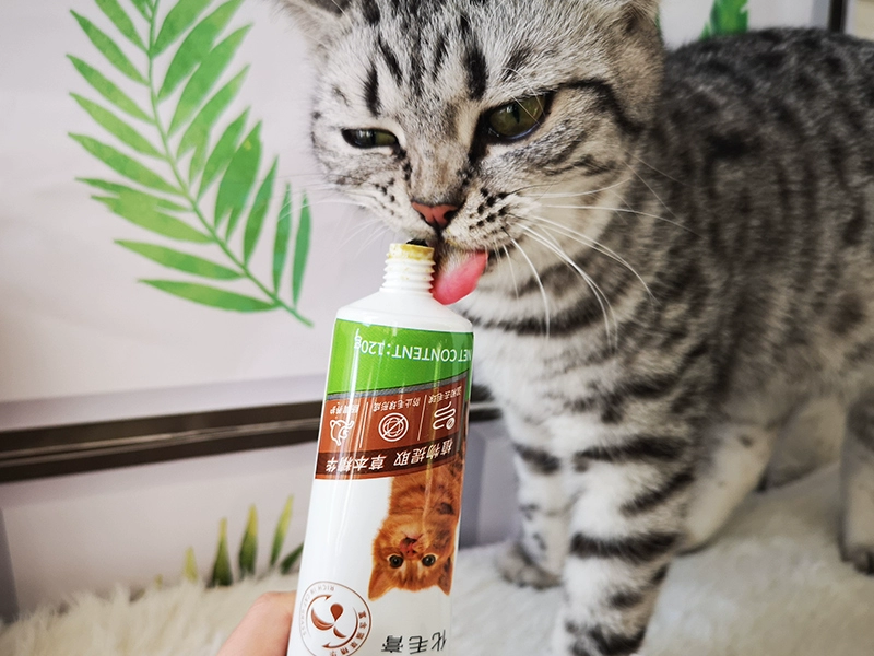 Malt bear Gu Denghua kem nhổ kem mèo nhổ lông bóng để dưỡng tóc cho mèo kem dinh dưỡng 21.4 - Cat / Dog Health bổ sung