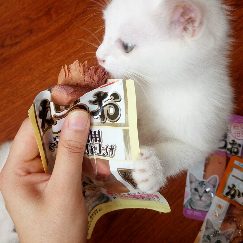 Malt gấu / 传说 传说 一 一 鲣 条 条 块 块 22 22 22 22 22 22 22 22 22