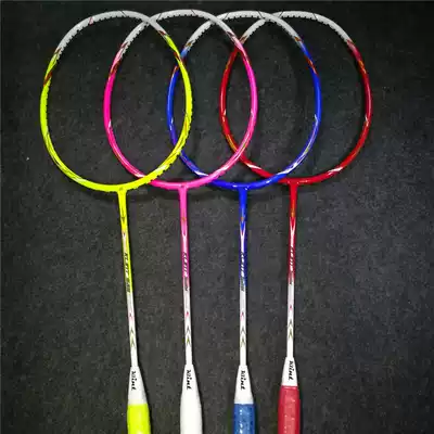 KLINT Carlin, who teaches economics S20 badminton racket