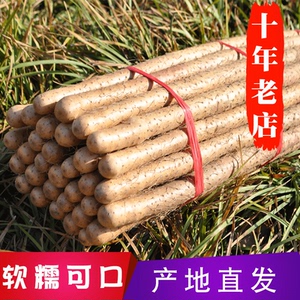 正宗河南焦作温县铁棍山药新鲜铁杆棒特产武陟怀山药视频5斤装长