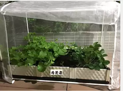 阳台菜园防鸟网防虫网有机种菜家庭菜园蔬菜多种尺寸框架定做包邮