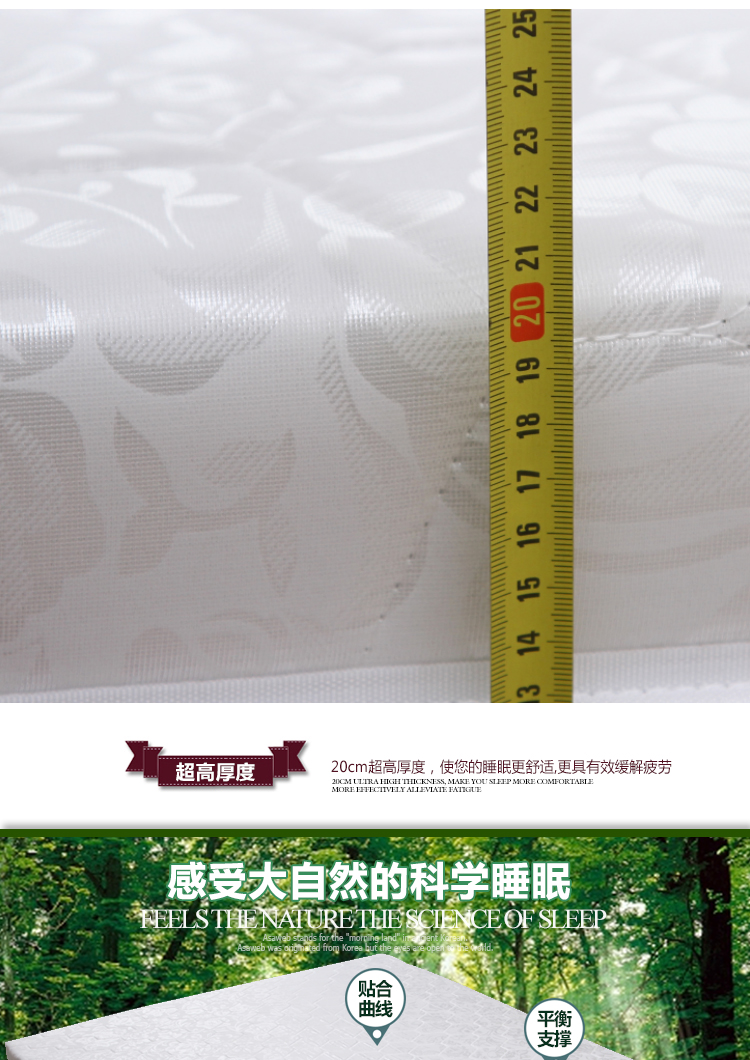 Simmons Flex kép xuân cọ nệm dừa nệm lò xo rửa có thể được tùy chỉnh kích thước - Nệm đệm đơn