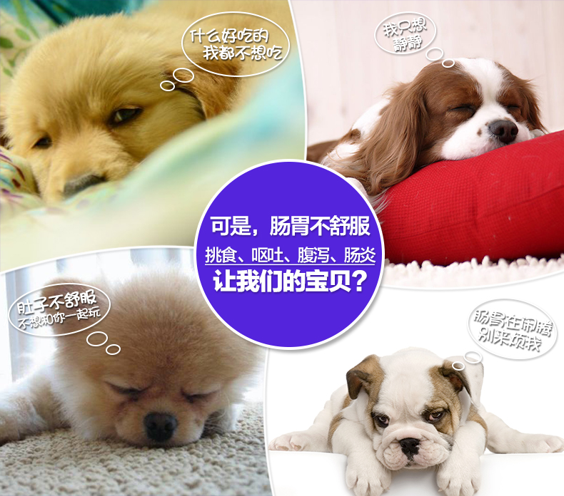 Pet chó con men và mèo dạ dày kho báu gói quà tặng duy nhất với các liên kết đặc biệt bắn duy nhất không vận chuyển - Cat / Dog Health bổ sung Sữa cho mèo trưởng thành