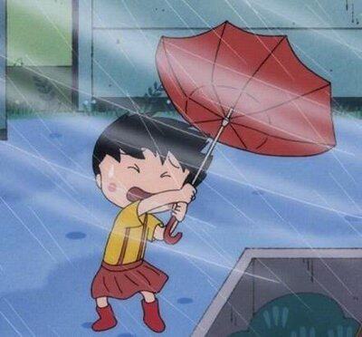 #台风暴雨在路上了