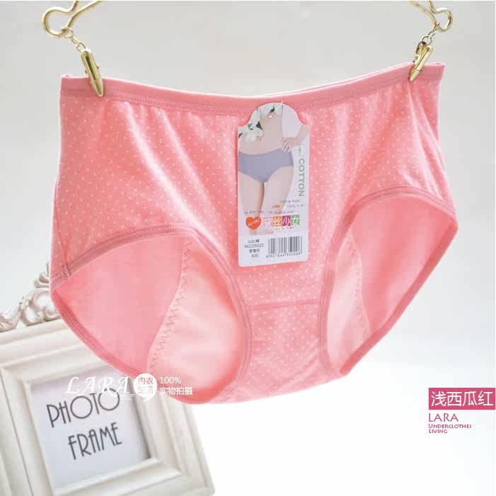 Slip en coton - Ref 642813 Image 38