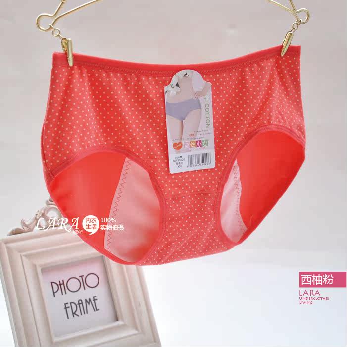 Slip en coton - Ref 642813 Image 44