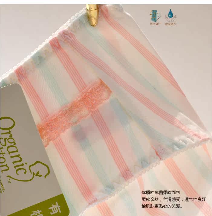 Slip jeunesse en coton - Ref 643034 Image 22