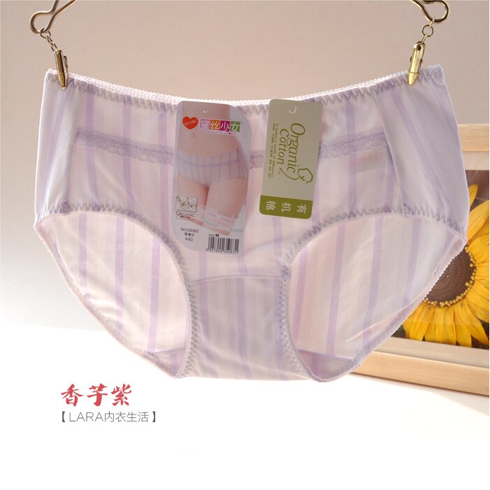 Slip jeunesse en coton - Ref 643034 Image 33