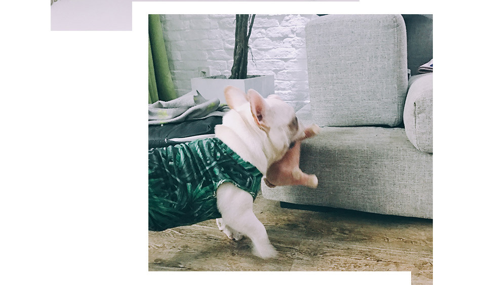 Chó đồ chơi cắn chó con chó con lông cừu đi kèm với đối tác ngủ Teddy pet estrus venting nam chó mèo cung cấp - Mèo / Chó Đồ chơi đồ chơi cho chó cắn