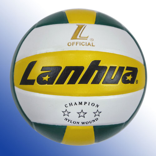 Ballon de volley - Ref 2009073 Image 4