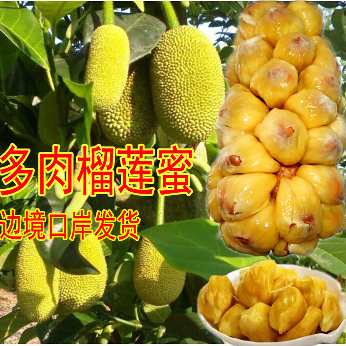 Thai variety durian honeymoonella mini-pineapple honey fresh tropical fruit aromas sweet little spinach 