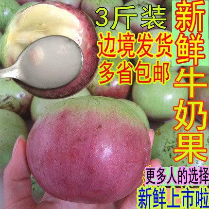 Vietnamese varieties of milk fruit tropical fresh fruit Venus fruit Star Apple baby pregnant woman month fruit 3kg