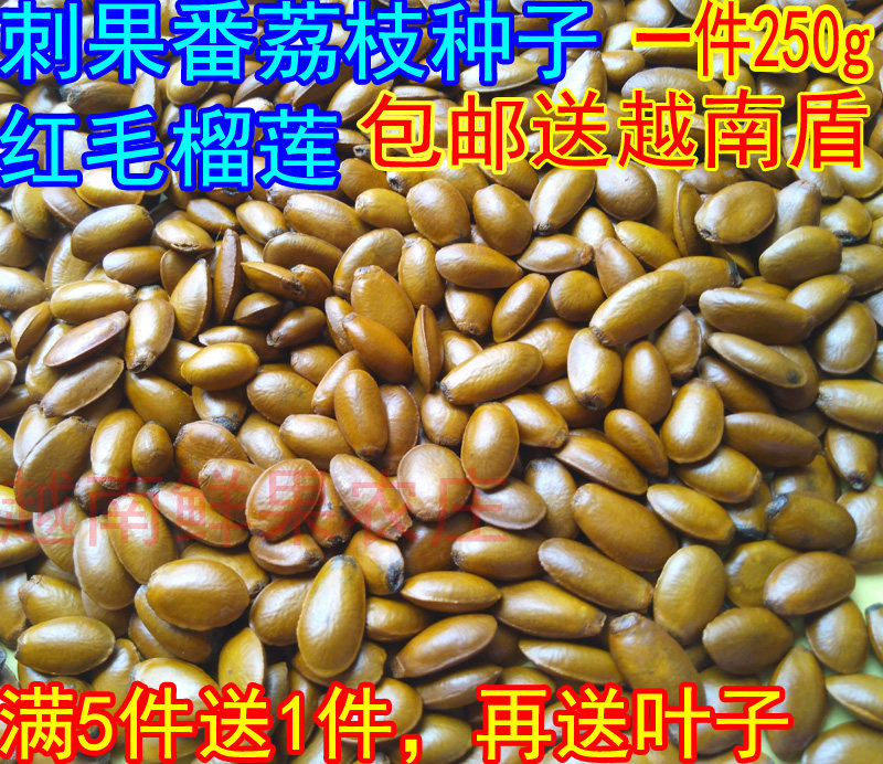 Fresh wild prickly fruit soursop seeds Red durian seeds soursop seeds Half a catty