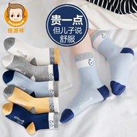 .5 Dual-Pack [Комбинация 2]