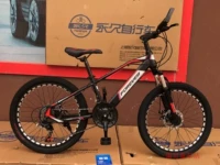 Джентльмен Блэк (21 скорость скорости, герметизация средней оси))