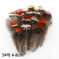 50 филиалов 34 пленки красной головы 50 филиалов