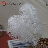 Высококачественный, белый, 30-35см