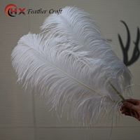 Белый, 50-55см