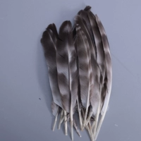 Тростниковое меч перо 15-20 см. Основной цвет 50 штук