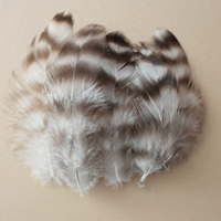 Treed Flower 5-10cm50 пьесы