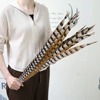 Выбранные натуральные цвета около 90 см 1