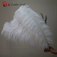 Белый, 70-75см