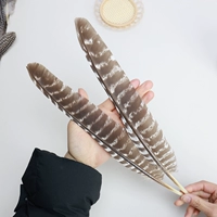 Цветочные перья натурального цвета 25-30см 2 шт.