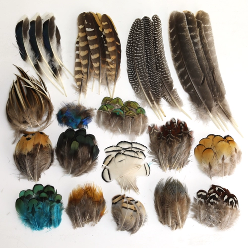 Сделай сам белые перья дикие куриные перья и газоновые перо