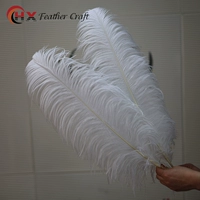 Белый, 60-65см