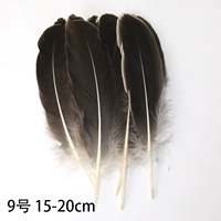 Серебро № 9 Основной цвет жесткий и большой трепетание 50 корней