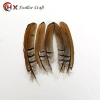 DJW около 10 см 5 шт.