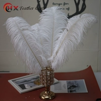 Высококачественный, белый, 55-60см