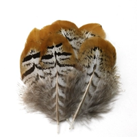 Выбранные натуральные цвета 4-6 см 5