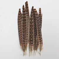 Хвост курицы Mother Mountain оригинальный цвет 20-25см 5 шт.