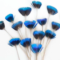 Таблетки для натурального цвета короны 4-6 см 5 штук