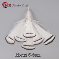 Десять белых медных куриных волос