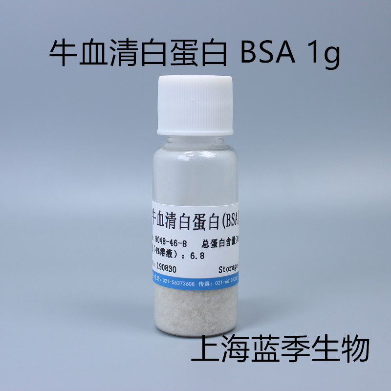 BSA - V 1g 5g Shanghai blue season biochemical reagent