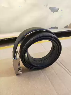 Automatic buckle belt