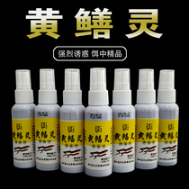 Ginger Taionghuang Eel Spirit Lute for Eel Bait Spray Fragrance Yellow Eel Cage Small Medicine Outdoor Fishing Eel King