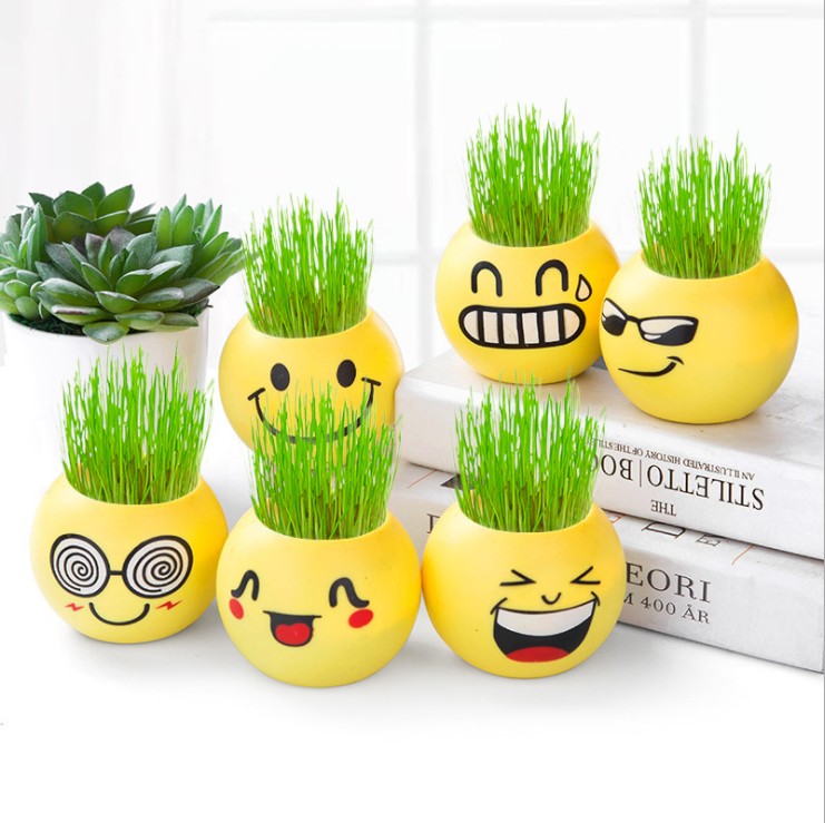Mini indoor negative ion small green plant with seed small grass potted grass head doll student gift child spray pot